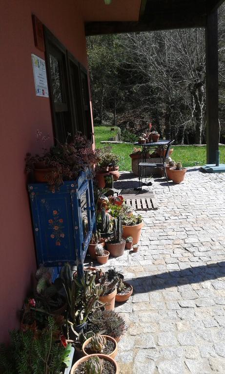 Hôtel Eco Camping Juncal à Marco de Canavezes Extérieur photo