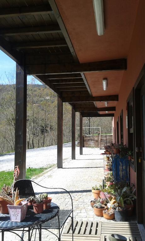 Hôtel Eco Camping Juncal à Marco de Canavezes Extérieur photo